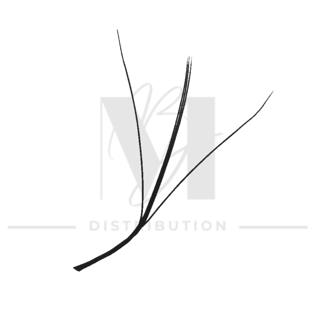 Cils de Fée (FAIRY)